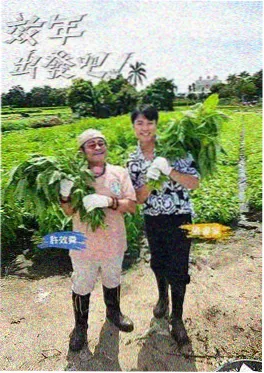综艺推荐 今晚不散场 封面